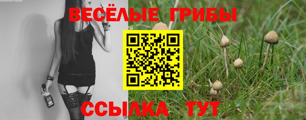Псилоцибиновые грибы прущие грибы Северск